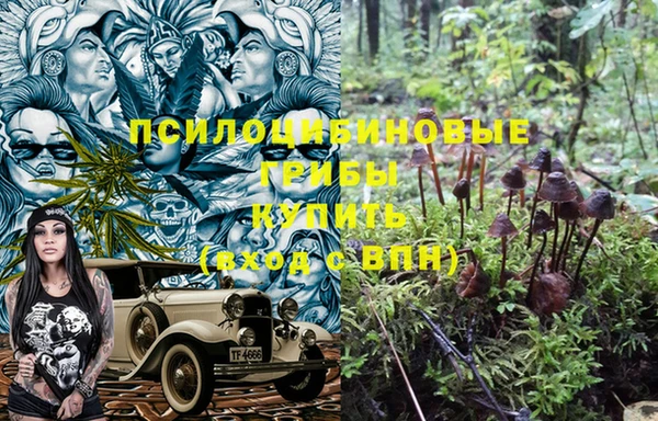 СК Саяногорск