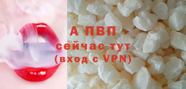 СК Саяногорск