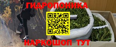 Альфа ПВП Волжск