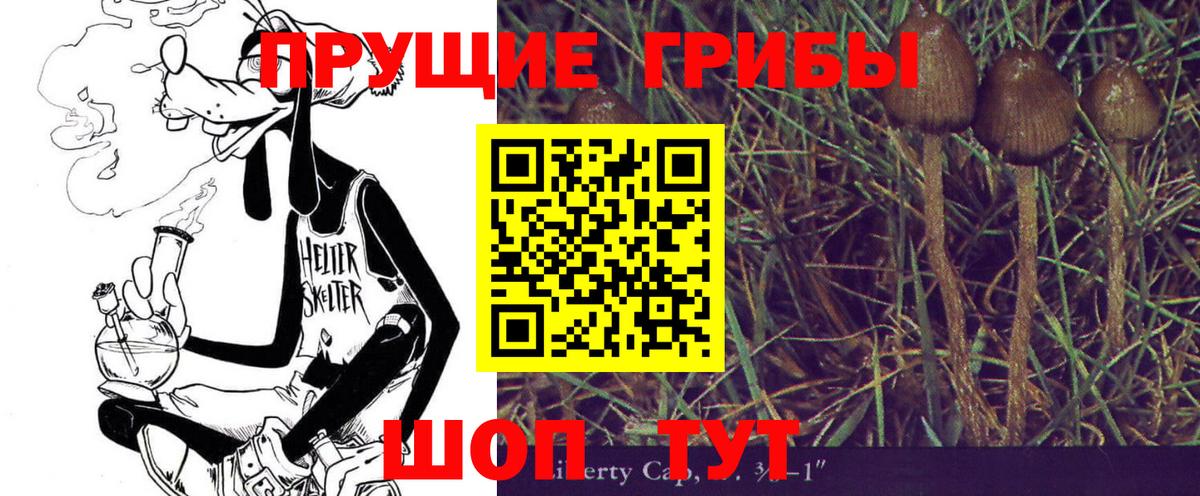 Галлюциногенные грибы Magic Shrooms Бор