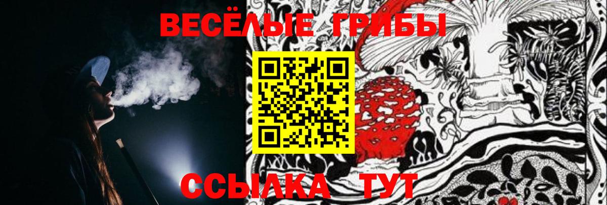 Бор  Галлюциногенные грибы ЛСД  Вход с VPN  Галлюциногенные грибы Magic Shrooms 