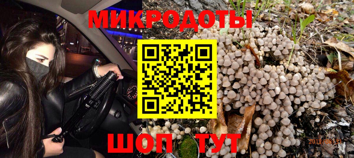 Псилоцибиновые грибы мухоморы Бор